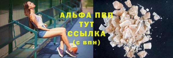 СК Аркадак