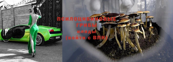 спиды Арсеньев