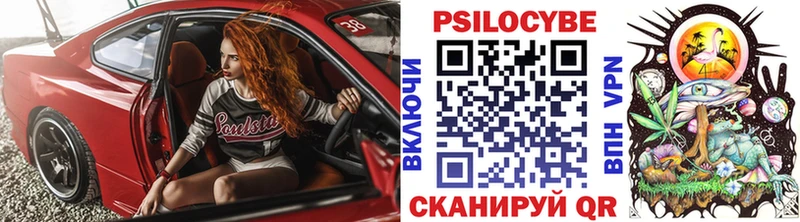 Псилоцибиновые грибы Psilocybine cubensis  Майский 